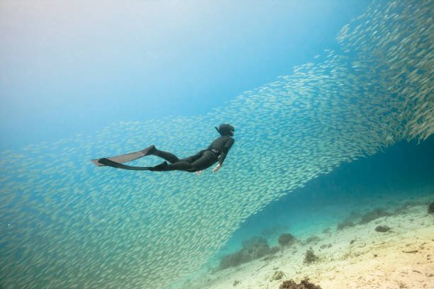 Master Freediving Skills Fast – Dive Deeper with Confidence